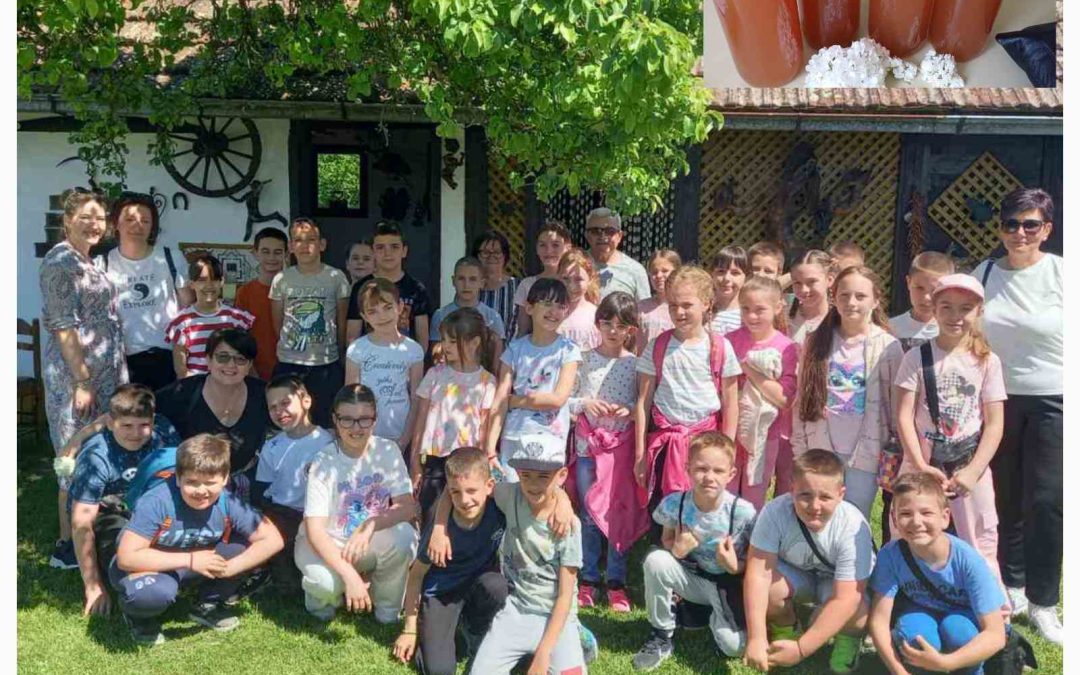 ,,ПОСЈЕТА  СЕОСКОМ  ДОМАЋИНСТВУ“